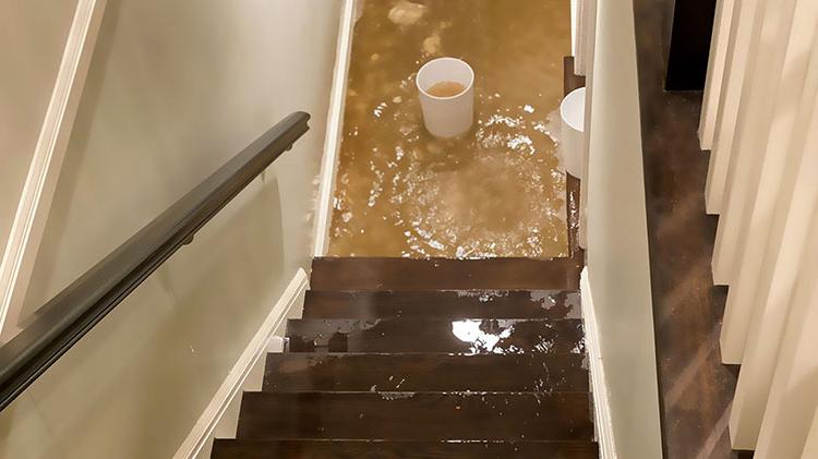 Looking down the staircase at a flooded basement and a water-filled bucket at the bottom of the stairs.